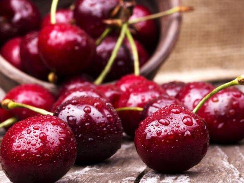 Вишня купить саженцы из питомника в Ульяновске